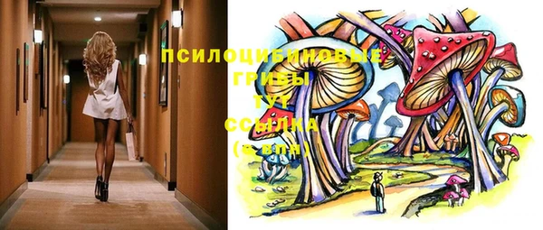 ПСИЛОЦИБИНОВЫЕ ГРИБЫ Армянск