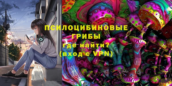 ПСИЛОЦИБИНОВЫЕ ГРИБЫ Армянск