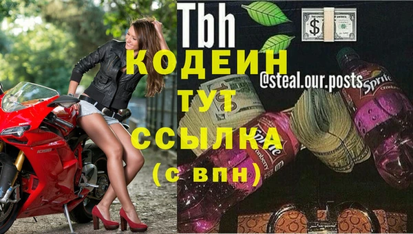 гашик Арсеньев