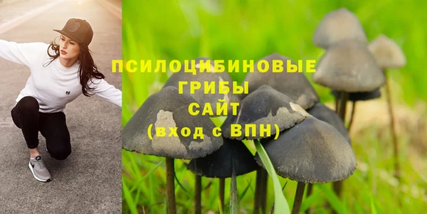 гашик Арсеньев